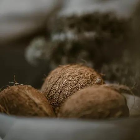 Kanela * Αλυκανάς